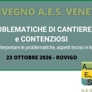 PROBLEMATICHE DI CANTIERE,  e CONTENZIOSI