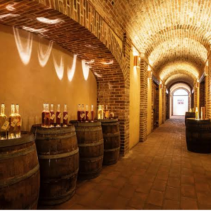 INFOPROGETTO EXPERIENCE: POLI DISTILLERIE