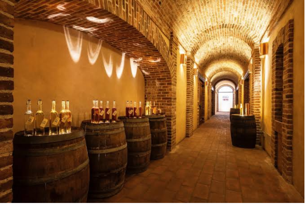 INFOPROGETTO EXPERIENCE: POLI DISTILLERIE